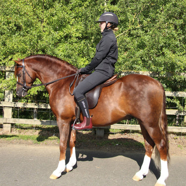 Buy Supreme Products Active Show Rider Jacket | Online for Equine