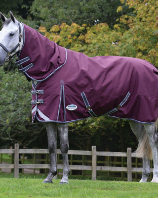 Buy Weatherbeeta ComFiTec Plus Dynamic II 220g Medium Detach-A-Neck | Online for Equine