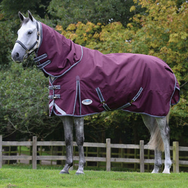 Buy the WeatherBeeta ComFiTec Plus Dynamic 220g Mediumweight Combo Neck Turnout Rug | Online for Equine