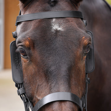 Buy Shires Velociti GARA Black Leather Blinkers| Online for Equine