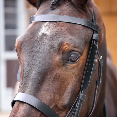 Buy Shires Velociti GARA Black Leather Blinkers| Online for Equine