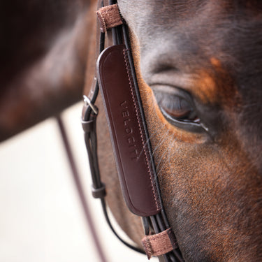 Buy the Shires Velociti GARA Havana Leather Blinkers | Online for Equine