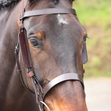 Buy the Shires Velociti GARA Havana Leather Blinkers | Online for Equine