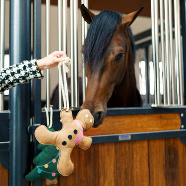 Imperial Riding Gingerbread Man Stable Buddy Toy