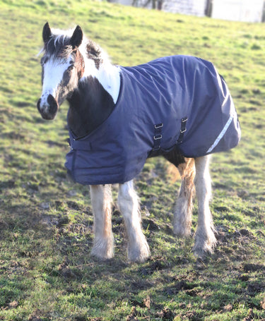 Gallop Trojan 200g Flexi-Foal Standard Neck Turnout Rug