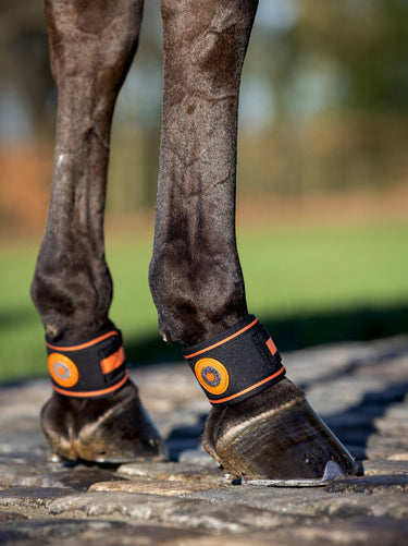 Buy Le Mieux Magno Pastern Wrap | Online for Equine