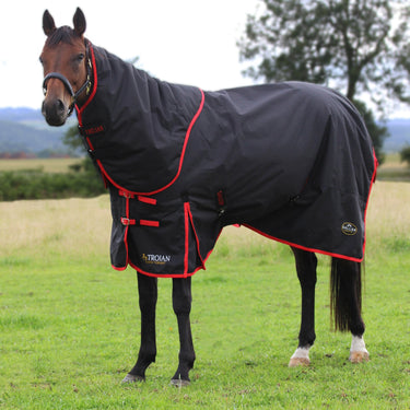 Gallop Trojan 200g Dual Turnout Rug & Neck Set