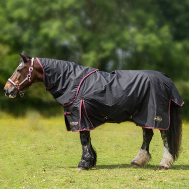 Buy Gallop Trojan Dual 50g Turnout Rug & Neck Set| Online for Equine