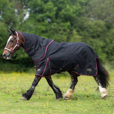 Buy Gallop Trojan Dual 50g Turnout Rug & Neck Set| Online for Equine