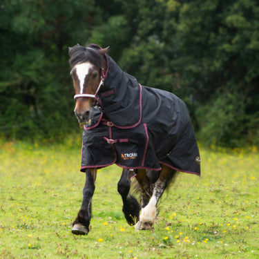 Buy Gallop Trojan Dual 50g Turnout Rug & Neck Set| Online for Equine