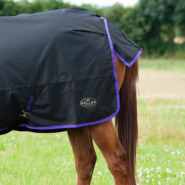 Gallop Trojan Dual Lightweight Turnout Rug & Neck Set