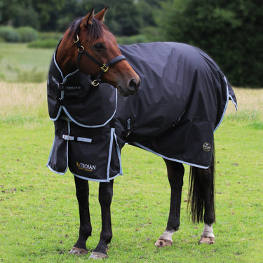 Gallop Trojan 300g Dual Turnout Rug & Neck Set