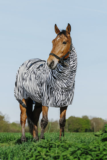 Buy Riding World Zebra Print Sweet Itch Sheet | Online for Equine