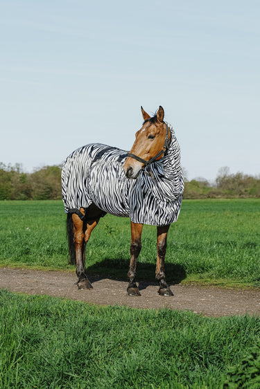 Buy Riding World Zebra Print Sweet Itch Sheet | Online for Equine