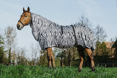 Buy Riding World Zebra Print Sweet Itch Sheet | Online for Equine