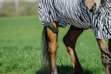 Buy Riding World Zebra Print Sweet Itch Sheet | Online for Equine