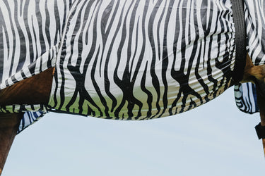 Buy Riding World Zebra Print Sweet Itch Sheet | Online for Equine