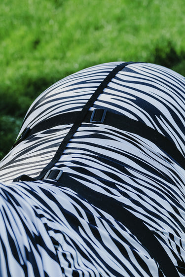 Buy Riding World Zebra Print Sweet Itch Sheet | Online for Equine