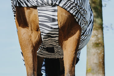 Buy Riding World Zebra Print Sweet Itch Sheet | Online for Equine