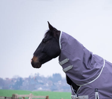 Buy Equitheme Tyrex Recycled 150G Turnout Rug Neck | Online for Equine