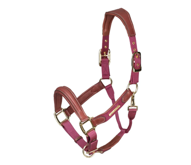 Buy the Shires Velociti Lusso Padded Burgundy Leather Headcollar | Online for Equine