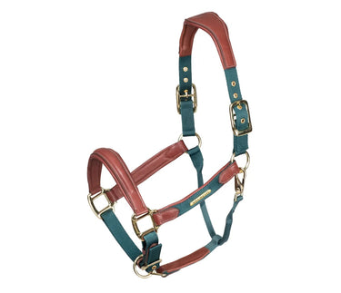 Buy the Shires Velociti Lusso Padded Green Leather Headcollar | Online for Equine