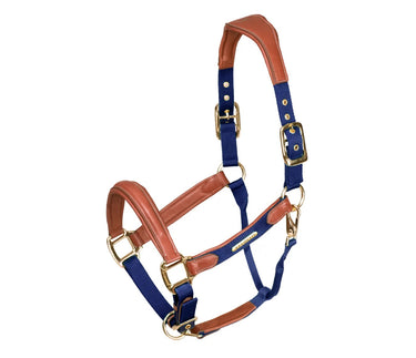 Buy the Shires Velociti Lusso Padded Navy Leather Headcollar | Online for Equine