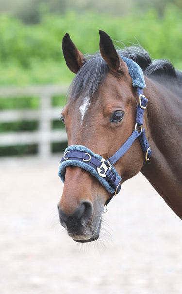 Buy the Shires ARMA Navy Fleece Lined Lunge Cavesson | Online for Equine