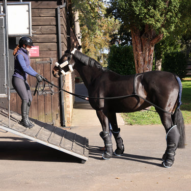 Buy Shires ARMA Loading Aid| Online for Equine