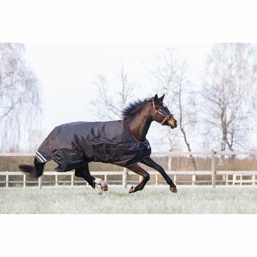 Buy Catago Dual Pro Standard Neck Turnout Rug | Online for Equine