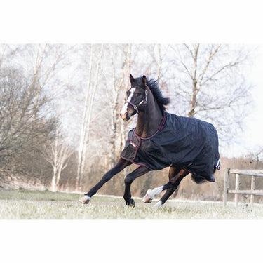 Buy Catago Dual Pro Standard Neck Turnout Rug | Online for Equine