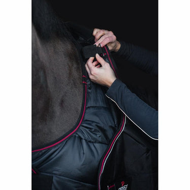 Buy Catago Dual Pro Standard Neck Turnout Rug | Online for Equine