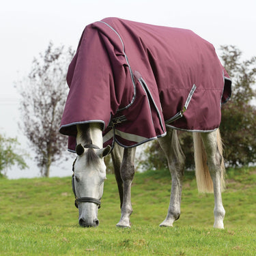 Buy the WeatherBeeta ComFiTec Plus Dynamic 220g Mediumweight Combo Neck Turnout Rug | Online for Equine