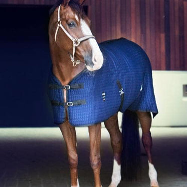 Buy Catago Cooler Rug | Online for Equine