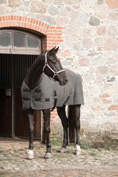 Buy Catago Cooler Rug | Online for Equine