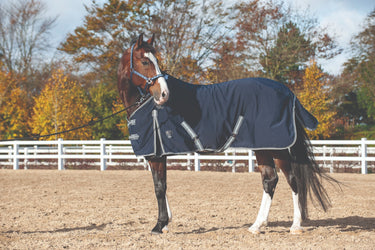 Buy Catago Summer Rug | Online for Equine