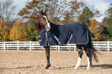 Buy Catago Summer Rug | Online for Equine