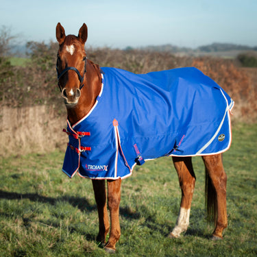 Gallop Trojan X 200g Dual Turnout Rug & Neck Set