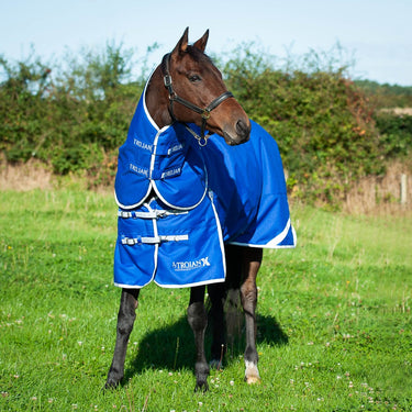 Gallop Trojan Xtra 300g Dual Turnout Rug & Neck Set