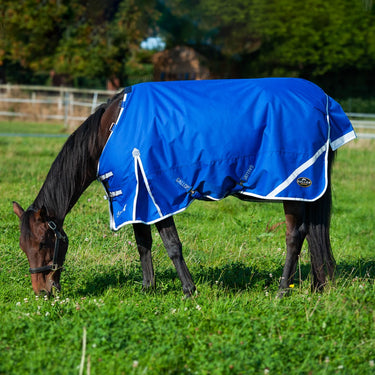 Gallop Trojan Xtra 300g Dual Turnout Rug & Neck Set