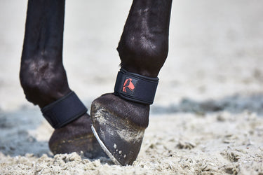 Buy Catago FIR-Tech Pastern Wrap | Online for Equine