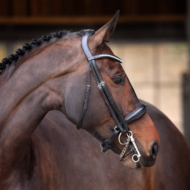 Buy the Shires Velociti Lusso Elite Black Double Bridle | Online for Equine