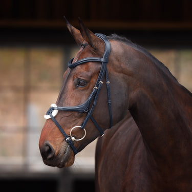 Buy the Shires Velociti Lusso Elite Black Grackle Bridle | Online for Equine