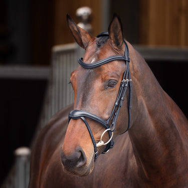 Buy the Shires Velociti Lusso Elite Black Flash Bridle | Online for Equine