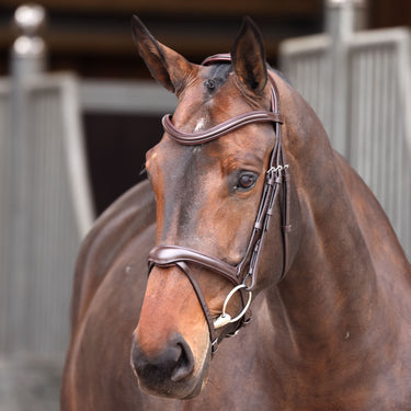 Buy the Shires Velociti Lusso Elite Havana Flash Bridle | Online for Equine