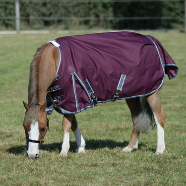 Buy the WeatherBeeta ComFiTec Plus Dynamic II 220g Mediumweight Standard Neck Turnout | Online for Equine