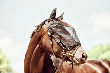 Horse Guard Ride-On Fly Mask