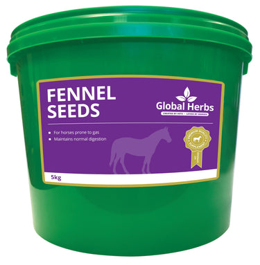 Global Herbs Fennel Seeds