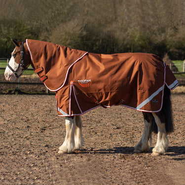 Gallop Toofan 200g Dual Turnout Rug & Neck Set