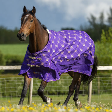 Gallop Trojan Monarch 100g Standard Neck Turnout Rug